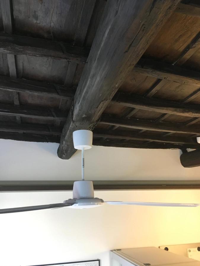 Cosy Trastevere Daire Roma Dış mekan fotoğraf